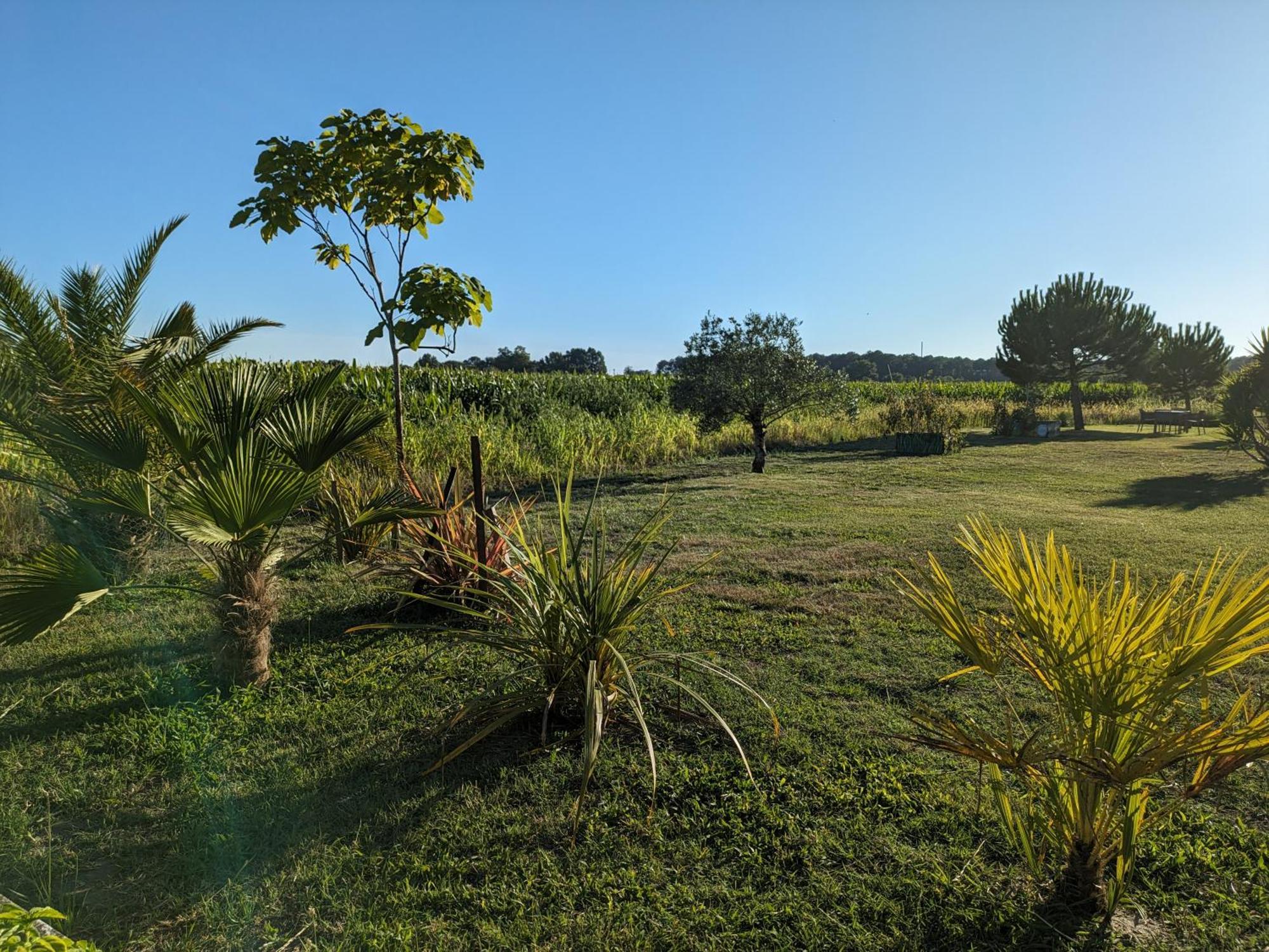 La Grange D'Hardy Villa Soustons Bagian luar foto