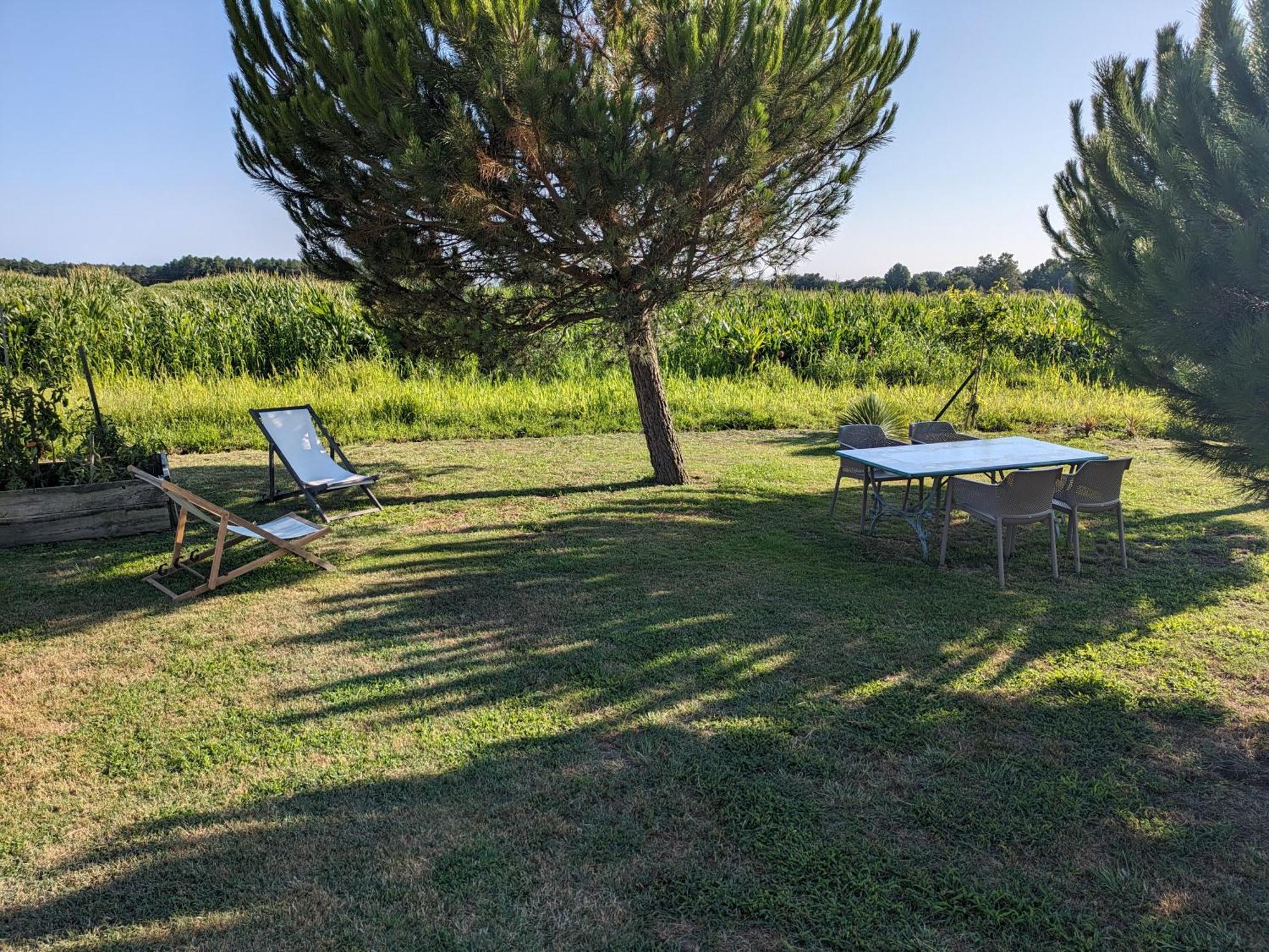 La Grange D'Hardy Villa Soustons Bagian luar foto